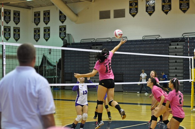 Volleyball Players